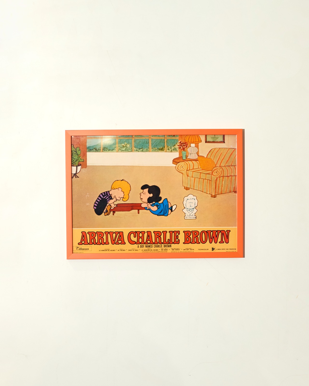 #7299 / PEANUTS - Arriva Charlie Brown