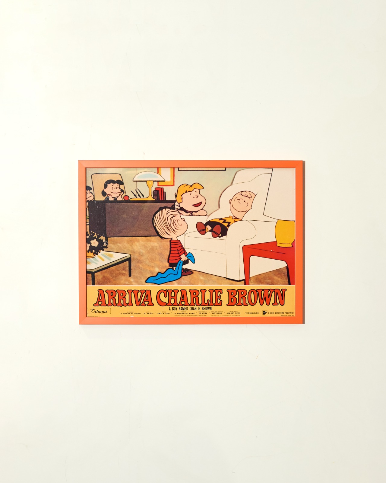 #11020 / PEANUTS - Arriva Charlie Brown