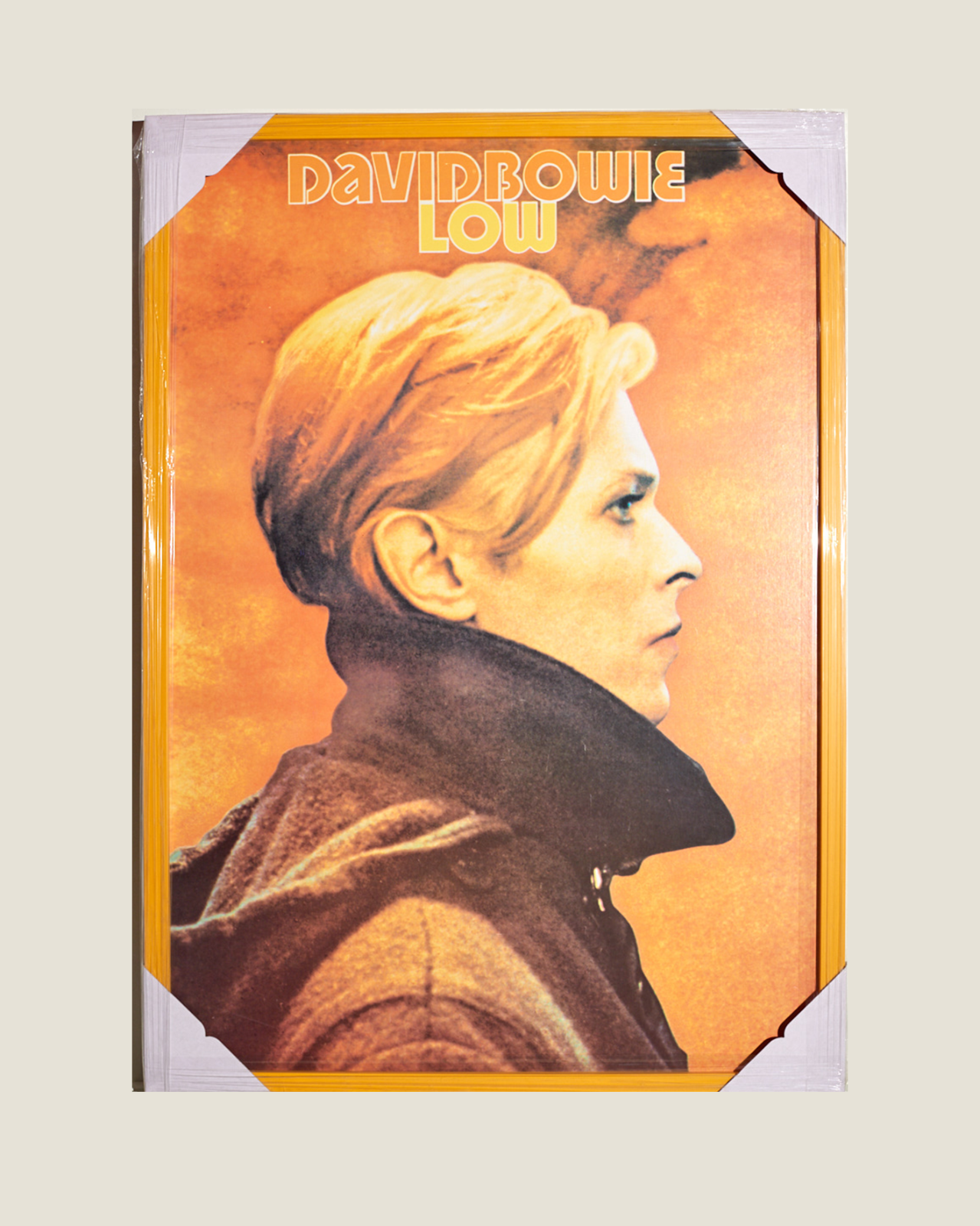 #6882 / David Bowie